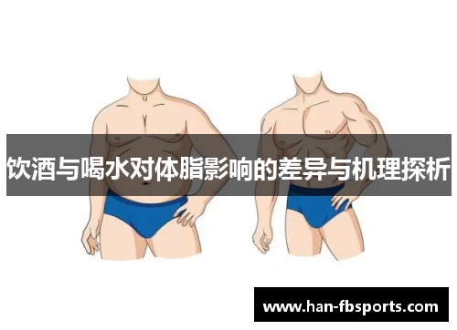 饮酒与喝水对体脂影响的差异与机理探析